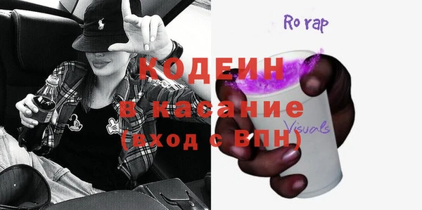 хмурый Белокуриха