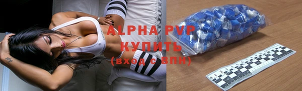 хмурый Белокуриха