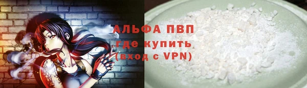хмурый Белокуриха