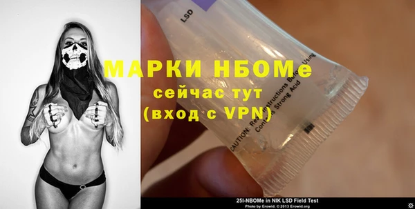 хмурый Белокуриха