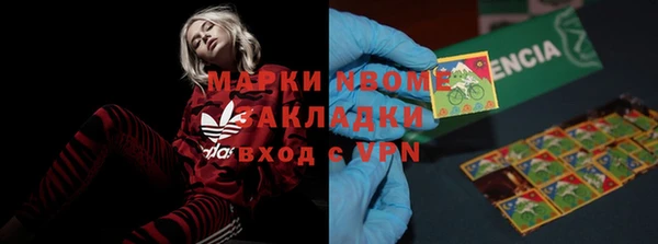 хмурый Белокуриха