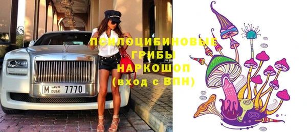 хмурый Белокуриха