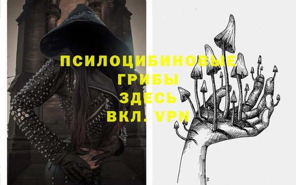 хмурый Белокуриха