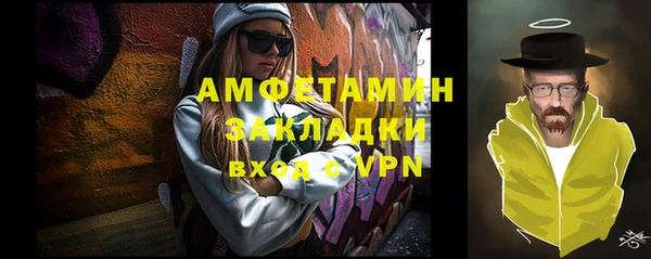 хмурый Белокуриха