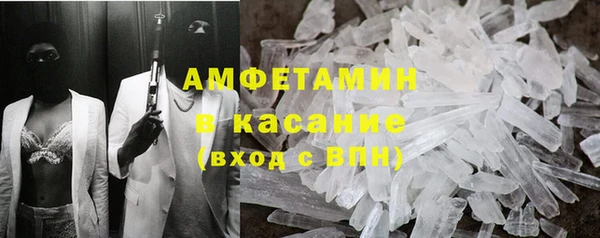 хмурый Белокуриха