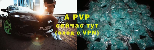 хмурый Белокуриха