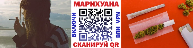 Каннабис сатива Кольчугино